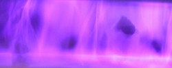 Die Bearbeitung von Saatgut mittels Plasma unter Atmosph&auml;rendruck.