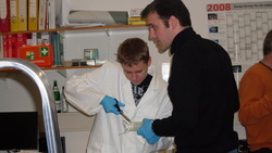 SIA Teilnehmer in Aktion