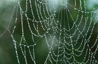 Vernetzung ist eines der Themen beim ZIF-Workshop