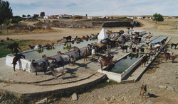 "Durst II" Ulrich Brinkhoff