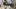 01_Titelbild_Ausstellung_Feel F(r)iskey_Galerie Marzee_2026